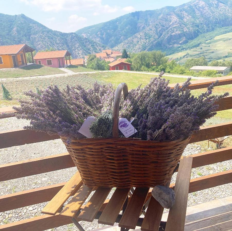 Azienda Agricola Saint Hubert Cantalupo Ligure Экстерьер фото